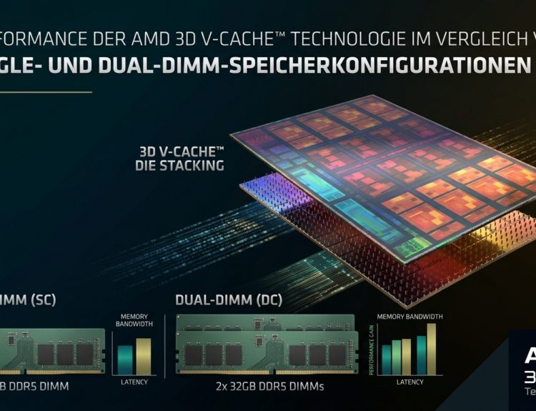 Single DIMM vs. Dual DIMM: Der AMD X3D Gaming-Vorteil im Test