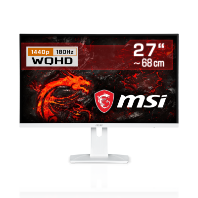 With a refresh rate of 180Hz and a response time of 1 ms (GtG), it offers incredibly smooth and responsive gameplay for professional gamers.