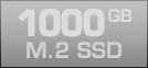 1000 GB M.2 SSD