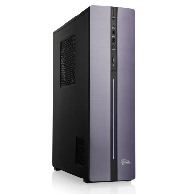 Un PC polyvalent performant avec processeur Ryzen&trade; 5 PRO 5655G pour la bureautique, le multim&eacute;dia et le jeu d'entr&eacute;e de gamme.