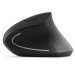 CSL TM137G, souris verticale