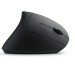 CSL TM137G, souris verticale