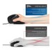 CSL Souris USB verticale v2