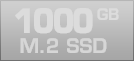 1000 GB M.2 SSD