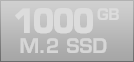 1000 GB M.2 SSD