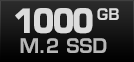 1000 GB M.2 SSD