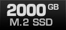 2000 GB M.2 SSD