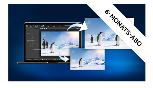 PhotoDirector 365 Thumb