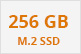 256 Gb M.2 SSD Logo