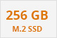 256 Gb M.2 SSD Logo