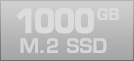 1000 GB M.2 SSD
