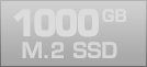 1000 GB M.2 SSD