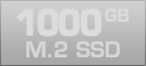 1000 GB M.2 SSD