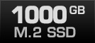1000 GB M.2 SSD