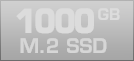 1000 GB M.2 SSD