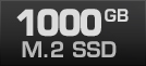 1000 GB M.2 SSD